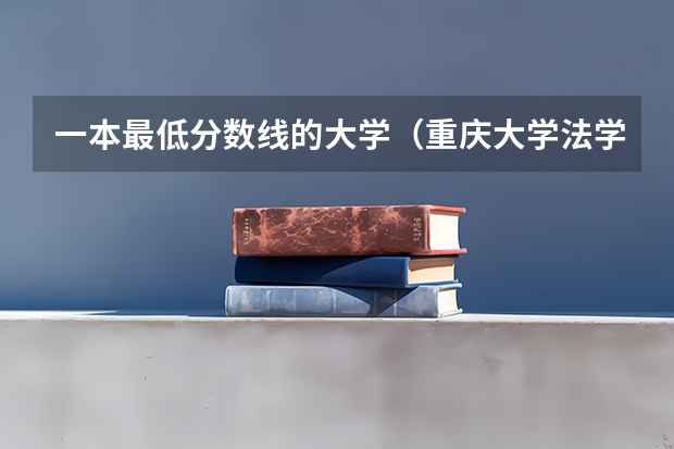 一本最低分数线的大学（重庆大学法学专业录取分数线）