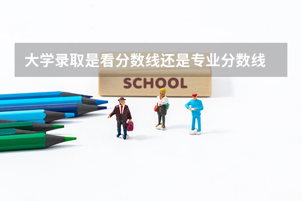 大学录取是看分数线还是专业分数线 广西大学环境工程研究生录取分数线