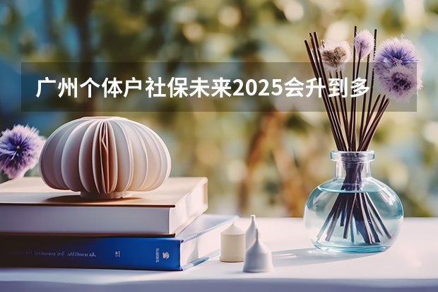 广州个体户社保未来2025会升到多少一个月