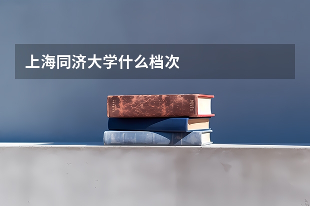 上海同济大学什么档次