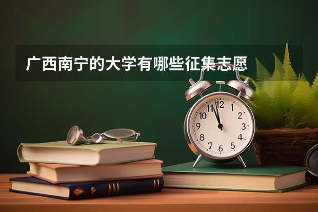 广西南宁的大学有哪些征集志愿