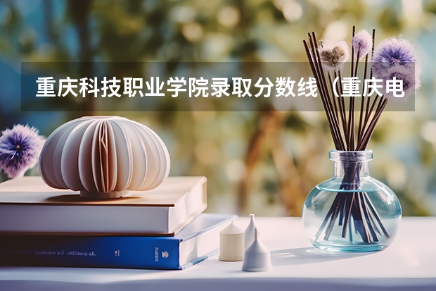 重庆科技职业学院录取分数线（重庆电力高等专科学校春招分数线）