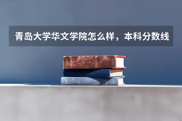 青岛大学华文学院怎么样，本科分数线多少，请求解答，谢谢