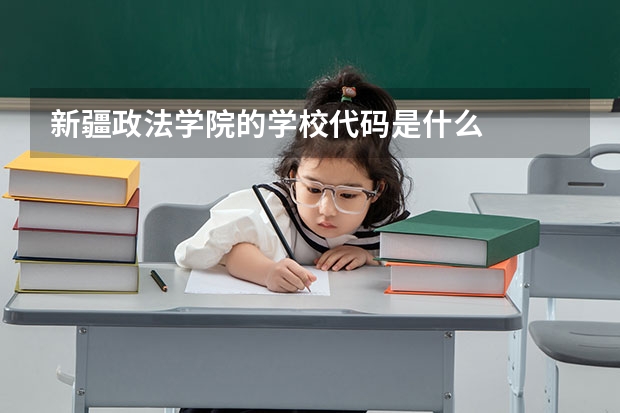 新疆政法学院的学校代码是什么