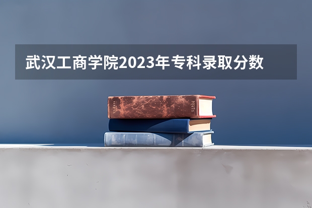 武汉工商学院2023年专科录取分数线是多少？