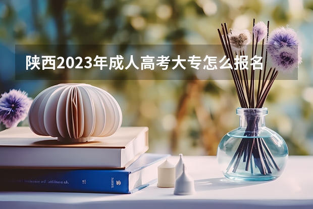 陕西2023年成人高考大专怎么报名 标准学费大概是什么？