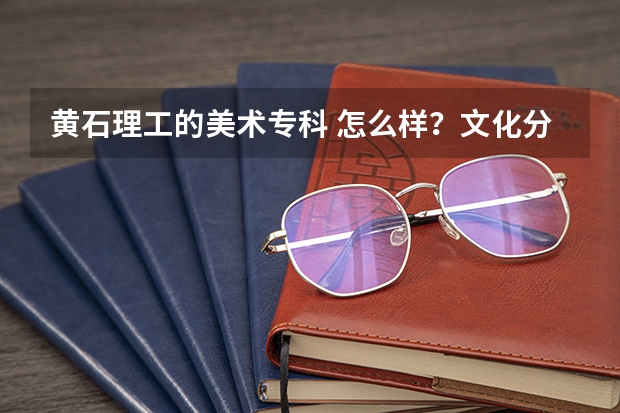 黄石理工的美术专科 怎么样？文化分数线多少？