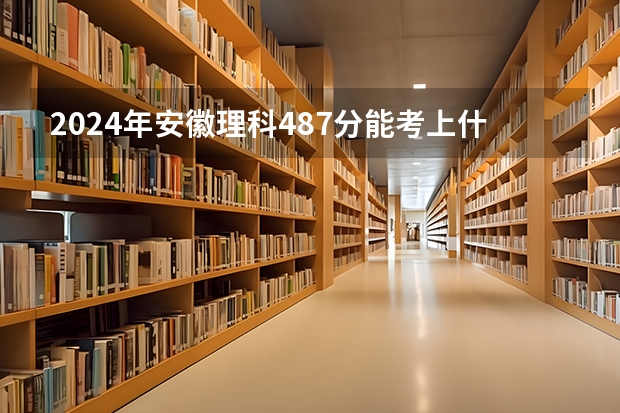 2024年安徽理科487分能考上什么大学？