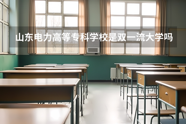 山东电力高等专科学校是双一流大学吗