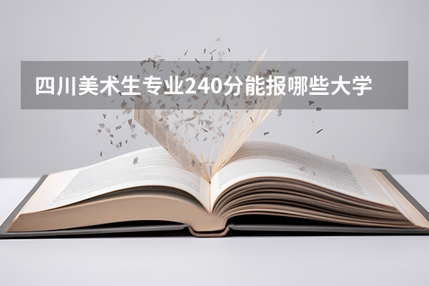 四川美术生专业240分能报哪些大学？