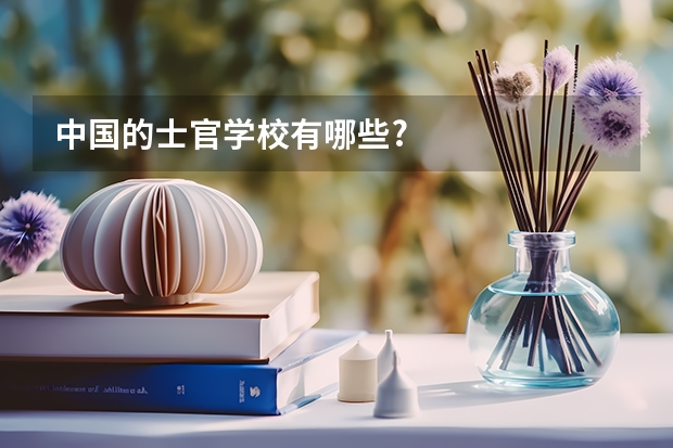 中国的士官学校有哪些?