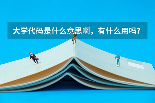 大学代码是什么意思啊，有什么用吗？