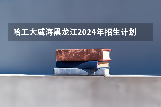 哈工大威海黑龙江2024年招生计划 2024双一流大学本科招生计划发布！复旦、哈工大扩招100人！