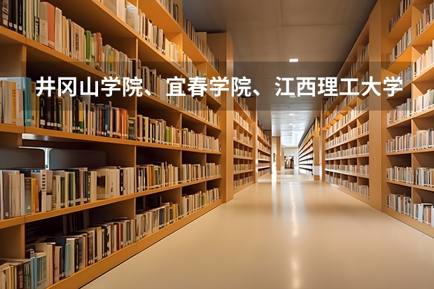 井冈山学院、宜春学院、江西理工大学、上饶师范学院最低录取分数线？（宜春学院视觉传达设计分数线）