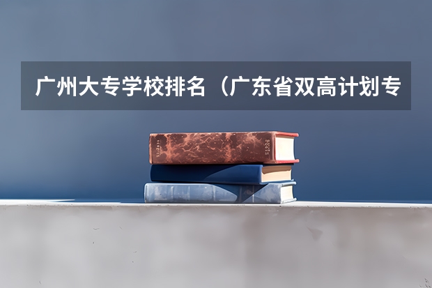 广州大专学校排名（广东省双高计划专科学校排名）