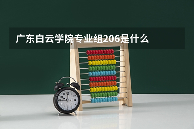 广东白云学院专业组206是什么