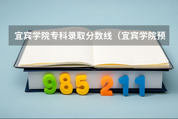 宜宾学院专科录取分数线（宜宾学院预科班分数线）