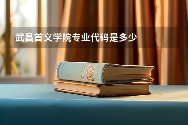 武昌首义学院专业代码是多少