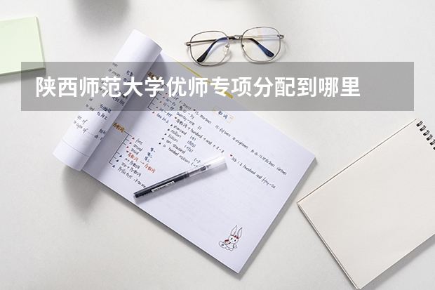 陕西师范大学优师专项分配到哪里