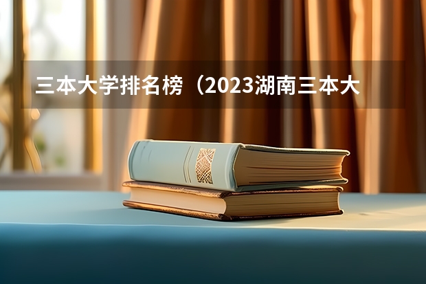 三本大学排名榜（2023湖南三本大学排名）