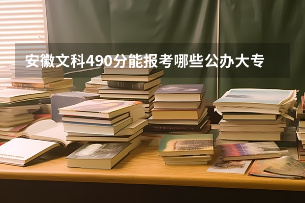 安徽文科490分能报考哪些公办大专