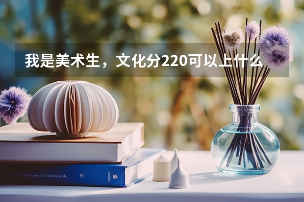 我是美术生，文化分220可以上什么大学？