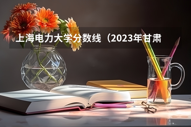 上海电力大学分数线（2023年甘肃r段录取院校及分数线）