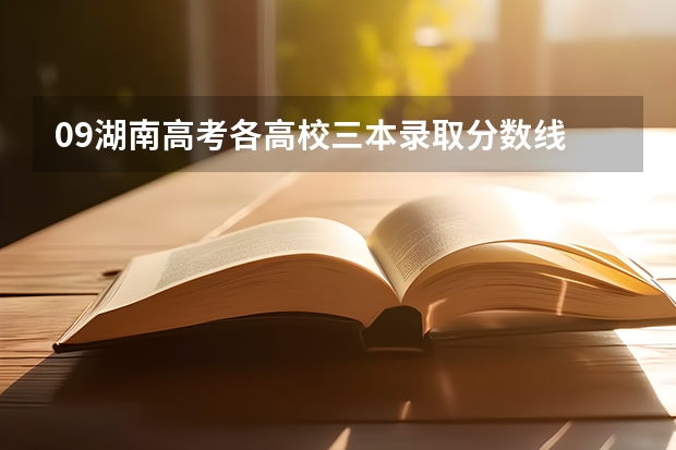 09湖南高考各高校三本录取分数线.. 成人高考安阳师范学院录取分数线？