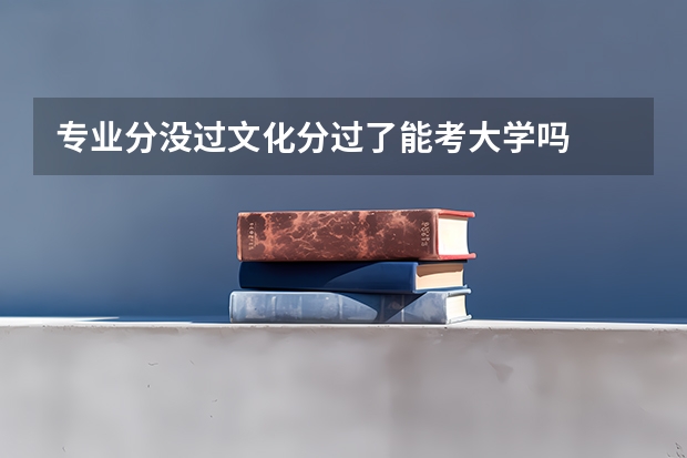 专业分没过文化分过了能考大学吗