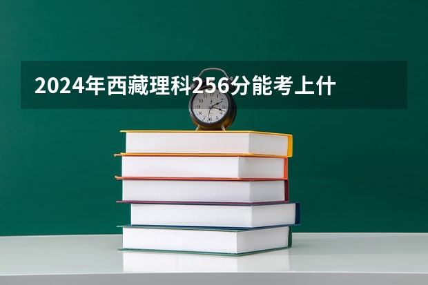 2024年西藏理科256分能考上什么大学？