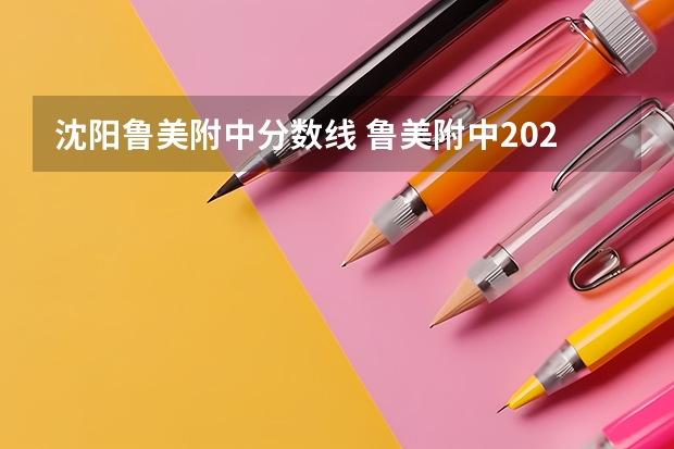 沈阳鲁美附中分数线 鲁美附中2023年分数线