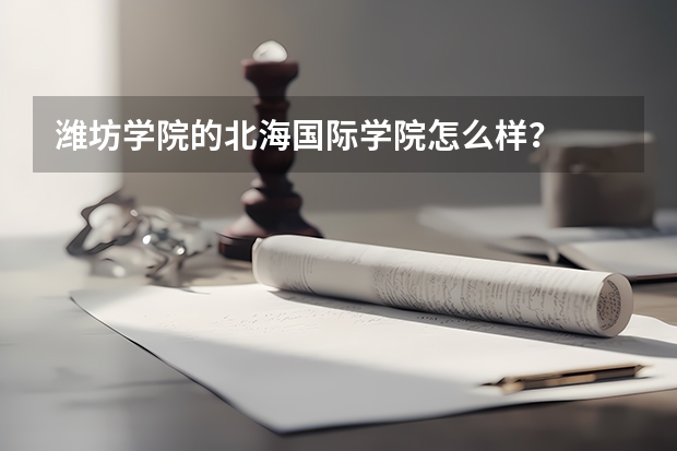 潍坊学院的北海国际学院怎么样？