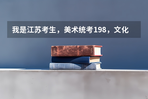 我是江苏考生，美术统考198，文化300左右，大概能上个什么学校呢？一本院校有希望吗？