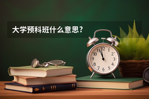 大学预科班什么意思?