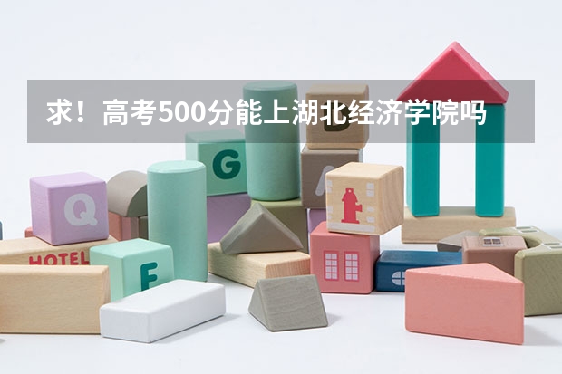 求！高考500分能上湖北经济学院吗？？