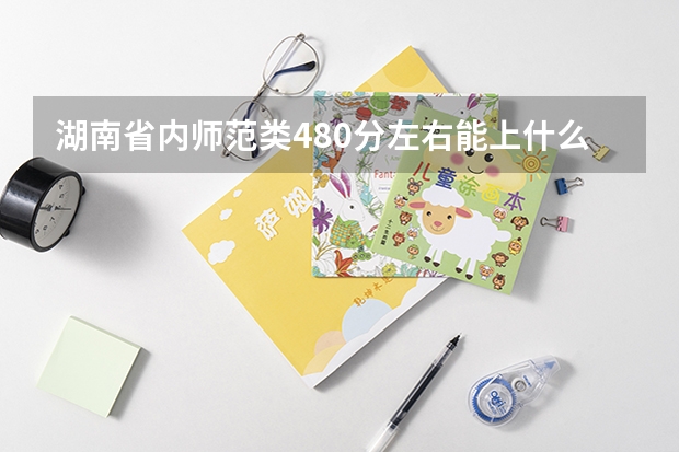 湖南省内师范类480分左右能上什么好的大学