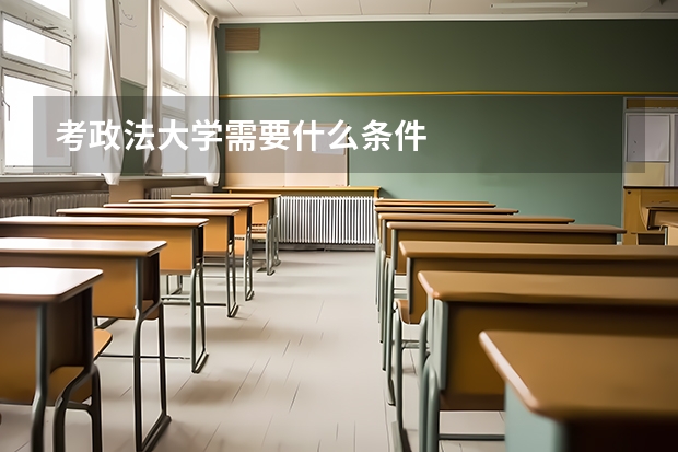 考政法大学需要什么条件