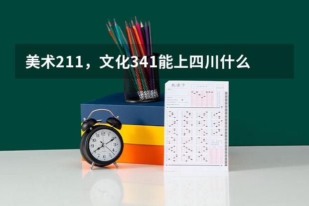 美术211，文化341能上四川什么学校？