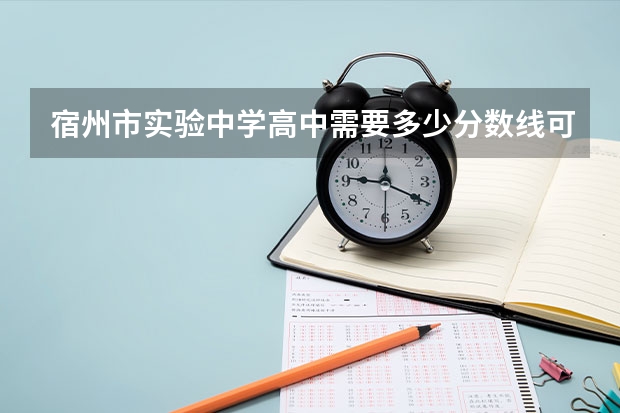 宿州市实验中学高中需要多少分数线可以上？