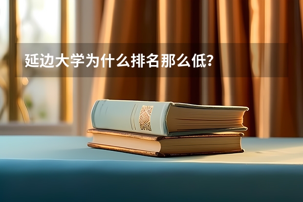 延边大学为什么排名那么低？