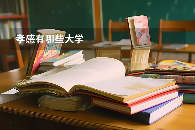 孝感有哪些大学