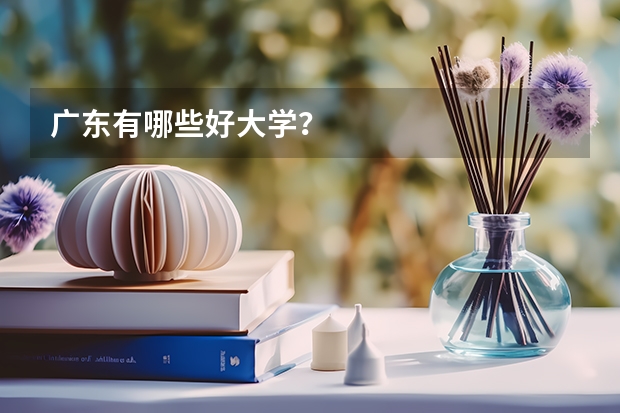 广东有哪些好大学？