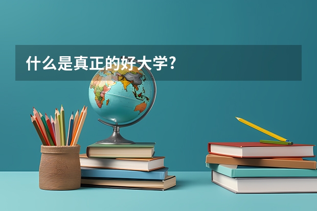 什么是真正的好大学?