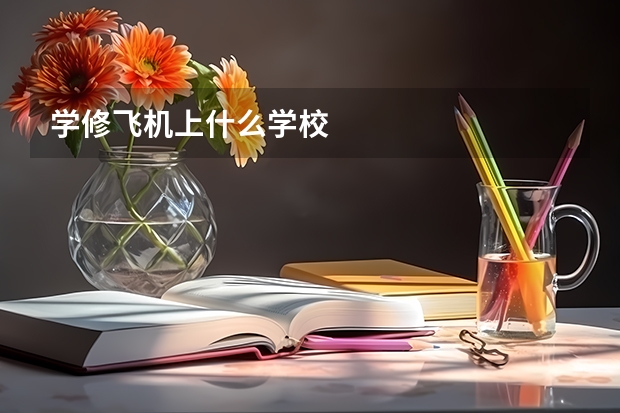 学修飞机上什么学校