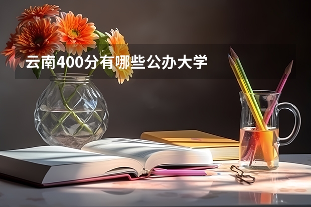 云南400分有哪些公办大学