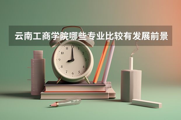 云南工商学院哪些专业比较有发展前景？