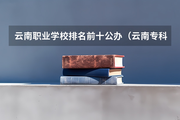 云南职业学校排名前十公办（云南专科学校排行榜前十）