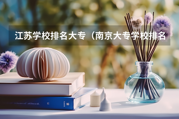 江苏学校排名大专（南京大专学校排名）