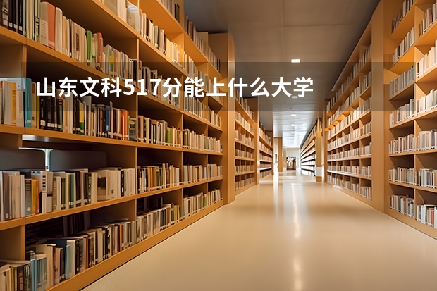 山东文科517分能上什么大学