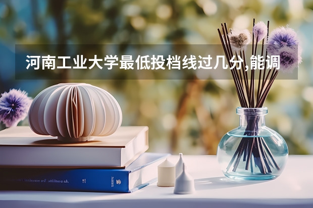 河南工业大学最低投档线过几分,能调计算计吗